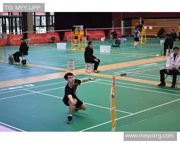 武汉羽毛球队在欧锦赛中的战术分析与表现评估